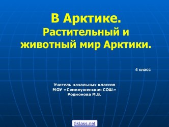 Арктика 4 класс