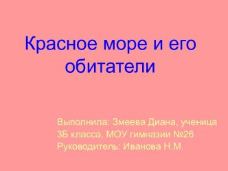 Красное море и его обитатели