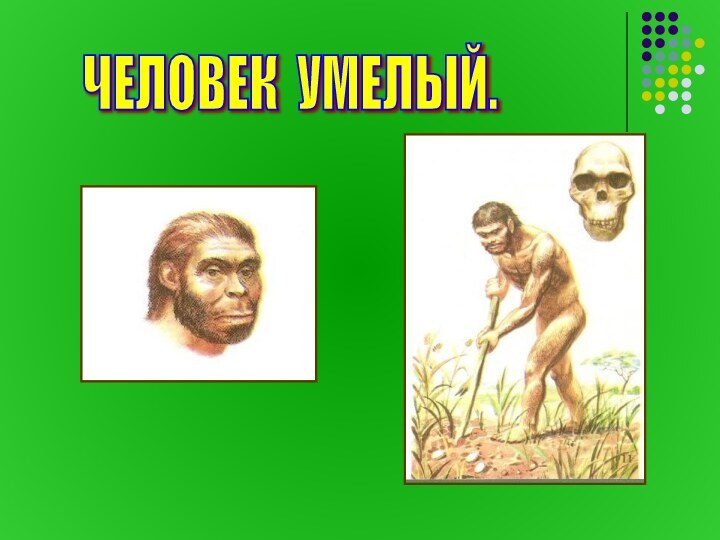 ЧЕЛОВЕК УМЕЛЫЙ.