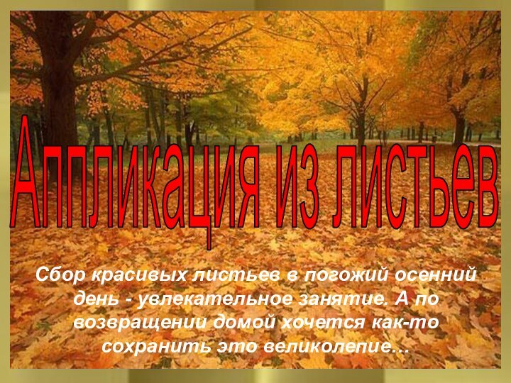 Сбор красивых листьев в погожий осенний день - увлекательное занятие. А по