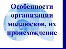 Особенности организации моллюсков, их происхождение