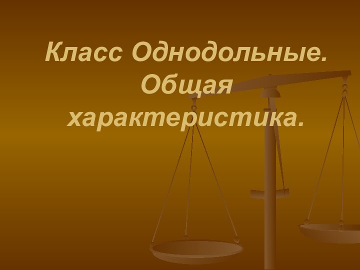 Класс Однодольные. Общая характеристика.