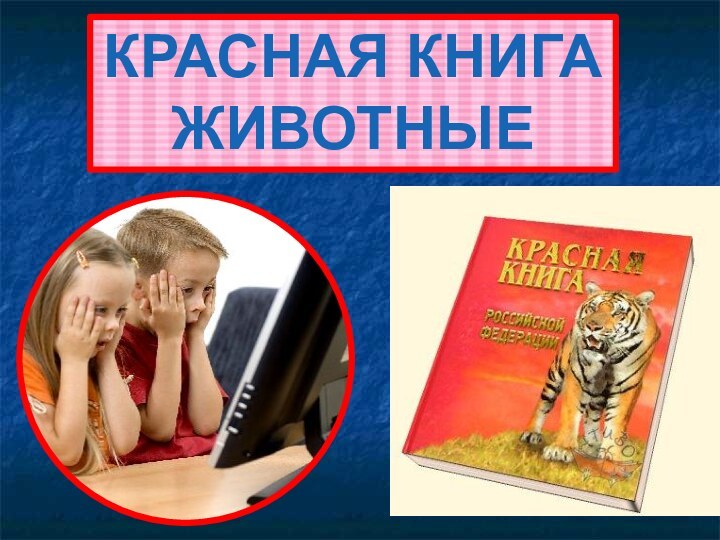 КРАСНАЯ КНИГА ЖИВОТНЫЕ