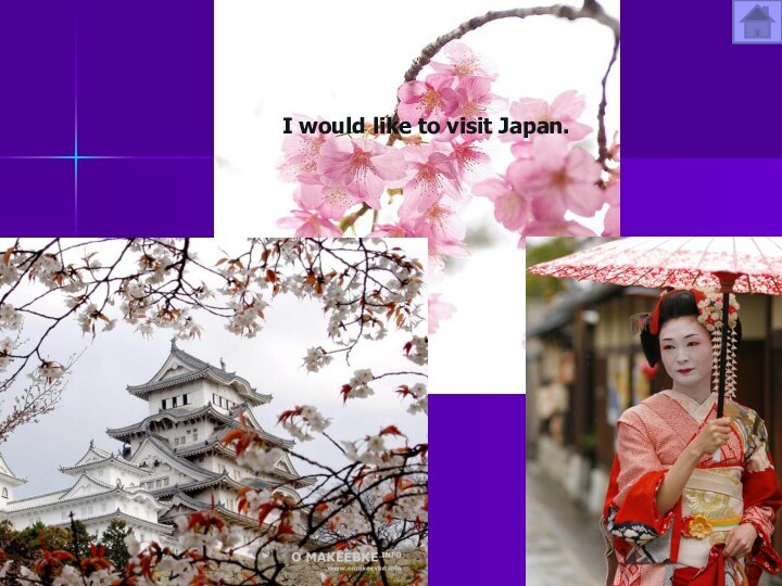 I would like to visit Japan.