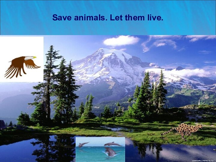 Save animals. Let them live.