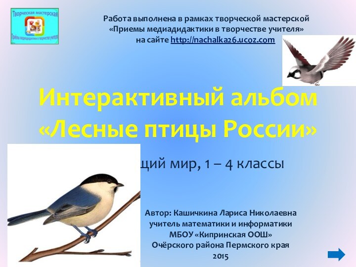 Интерактивный альбом «Лесные птицы России»Окружающий мир, 1 – 4 классы Работа выполнена