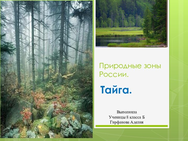 Природные зоны России.      Тайга.ВыполнилаУченицы 8 класса БГирфанова Аделия