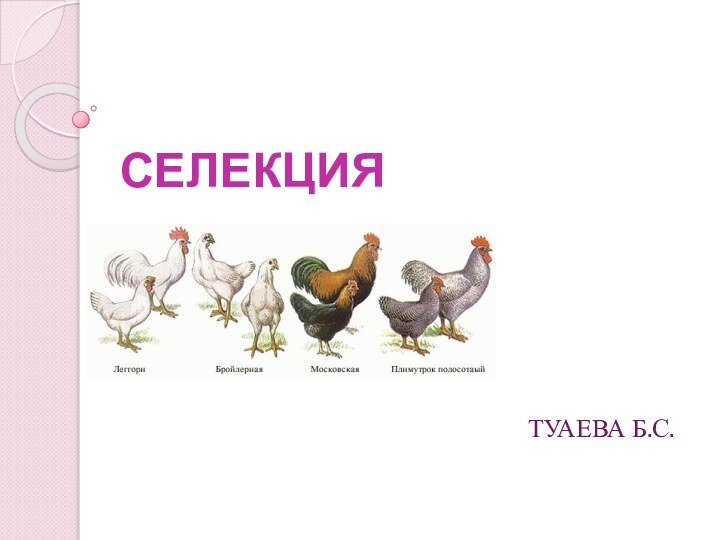 СЕЛЕКЦИЯТУАЕВА Б.С.