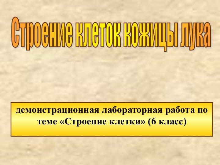 демонстрационная лабораторная работа по теме «Строение клетки» (6 класс)Строение клеток кожицы лука