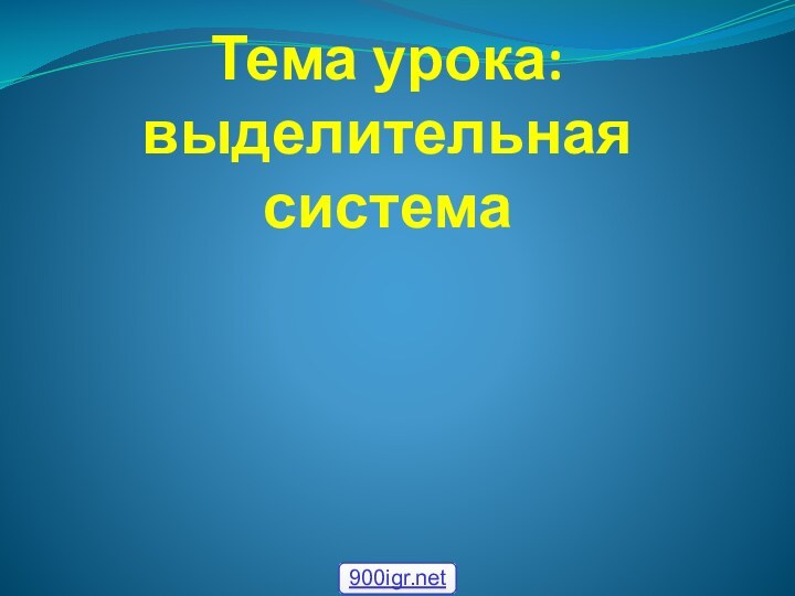 Тема урока: выделительная система