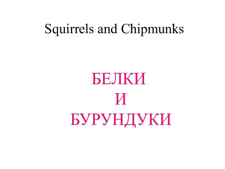 Squirrels and ChipmunksБЕЛКИ И БУРУНДУКИ
