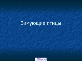 Какие птицы зимуют в России