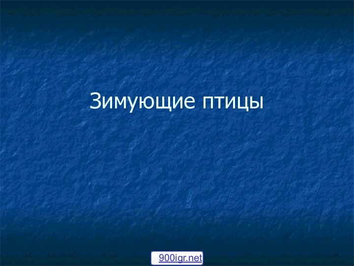 Зимующие птицы