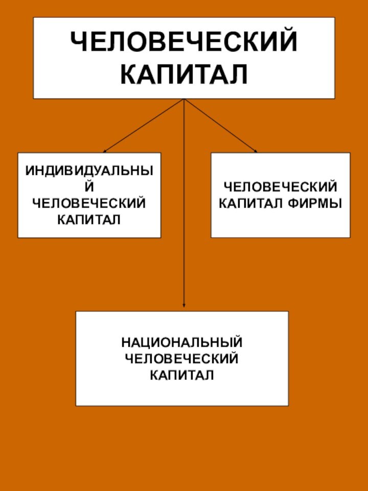 ЧЕЛОВЕЧЕСКИЙКАПИТАЛИНДИВИДУАЛЬНЫЙЧЕЛОВЕЧЕСКИЙКАПИТАЛЧЕЛОВЕЧЕСКИЙКАПИТАЛ ФИРМЫНАЦИОНАЛЬНЫЙ ЧЕЛОВЕЧЕСКИЙКАПИТАЛ