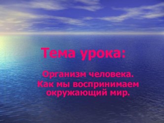 Организм человека. Как мы воспринимаем окружающий мир.