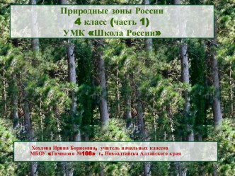 Природные зоны России. Арктика. Тундра. Зона лесов