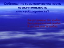 Соблюдение грамматических норм: незначительность или необходимость?