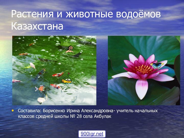 Растения и животные водоёмов КазахстанаСоставила: Борисенко Ирина Александровна- учитель начальных классов средней