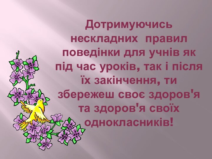 Дотримуючись нескладних правил поведінки для учнів як під час уроків, так