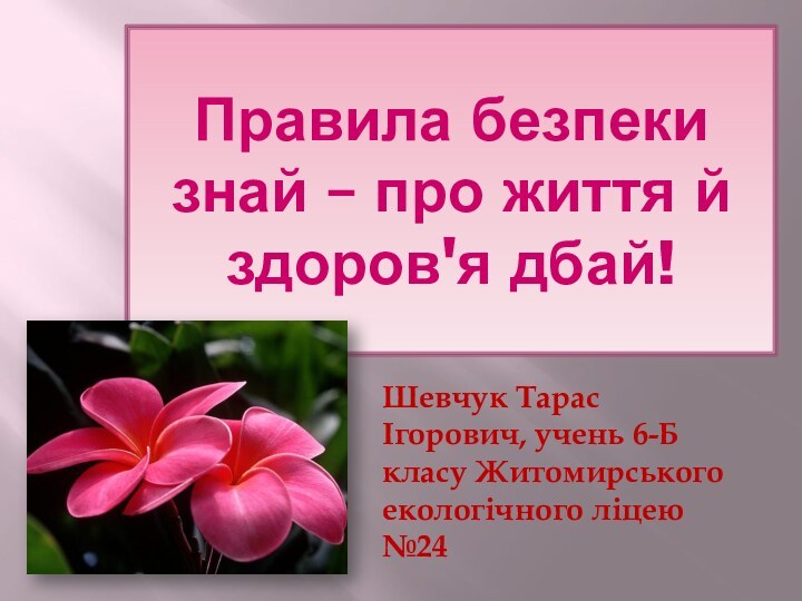 Правила безпеки знай – про життя й здоров'я дбай!Шевчук Тарас Ігорович, учень