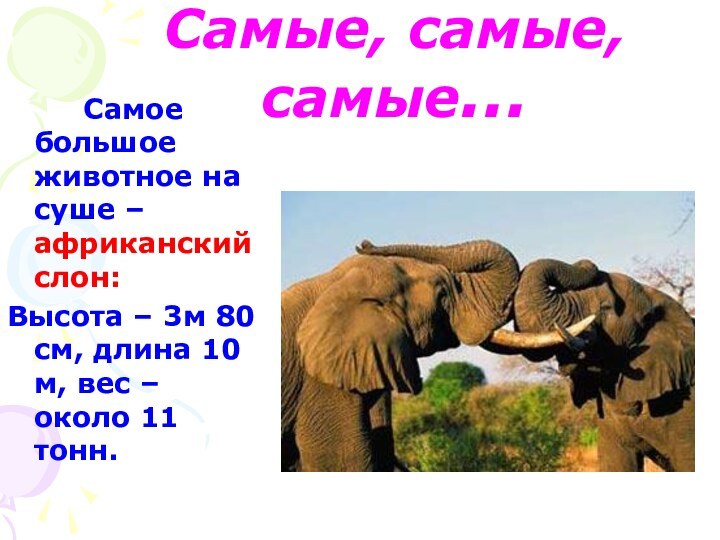 Самые, самые, самые…    Самое большое животное на суше –