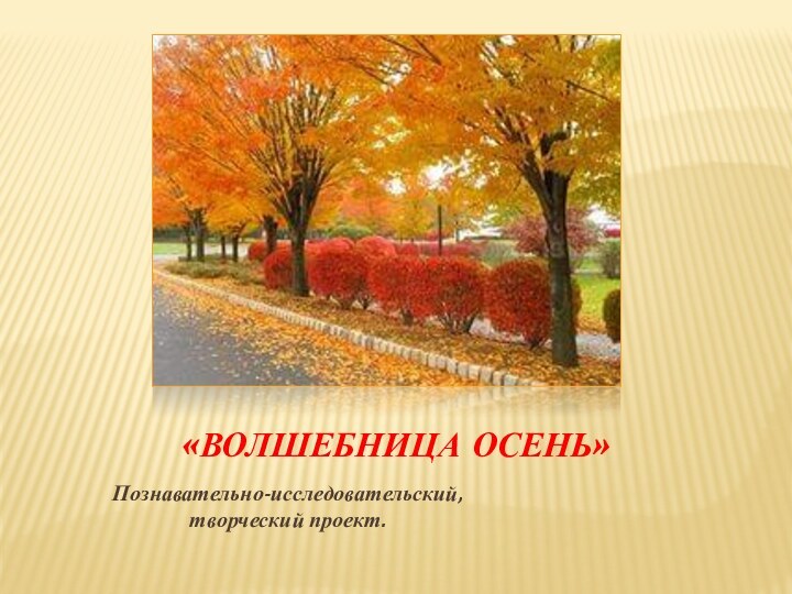 «Волшебница осень» Познавательно-исследовательский,          творческий проект.