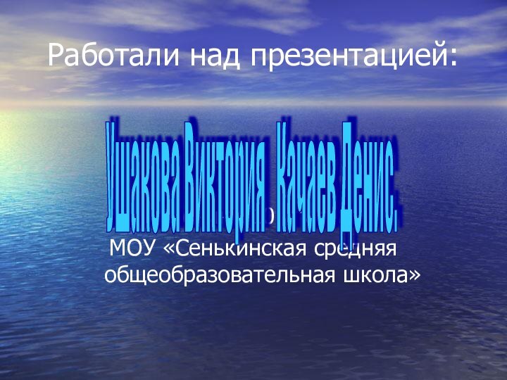 Работали над презентацией:  Ученики 10 класса МОУ «Сенькинская средняя общеобразовательная школа»Ушакова