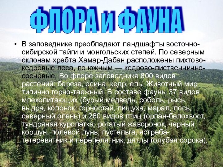 В заповеднике преобладают ландшафты восточно-сибирской тайги и монгольских степей. По северным склонам