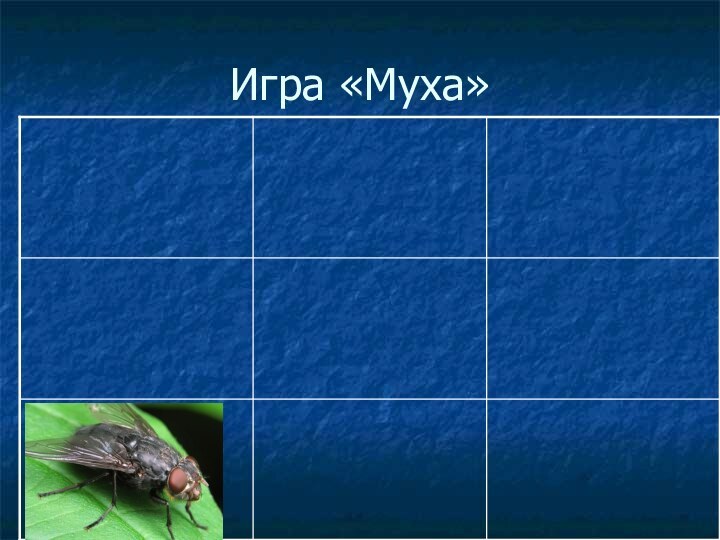 Игра «Муха»