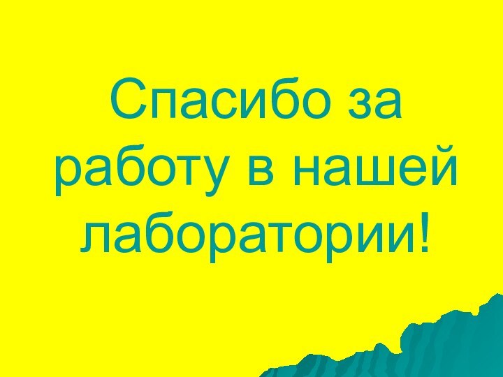 Спасибо за работу в нашей лаборатории!