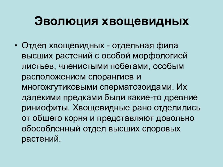 Эволюция хвощевидныхОтдел хвощевидных - отдельная фила высших растений с особой морфологией листьев,