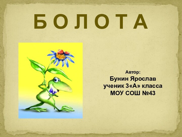 Б О Л О Т ААвтор: Бунин Ярослав ученик 3«А» классаМОУ СОШ №43