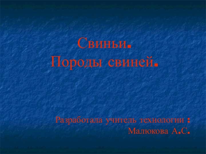 Свиньи.Породы свиней.Разработала учитель технологии : Малюкова А.С.