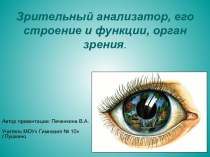 Зрительный анализатор, его строение и функции, орган зрения