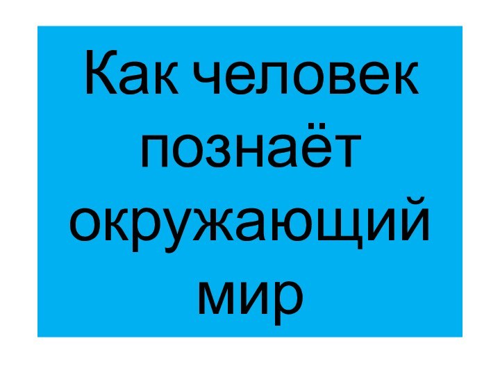 Как человек познаёт  окружающий мир