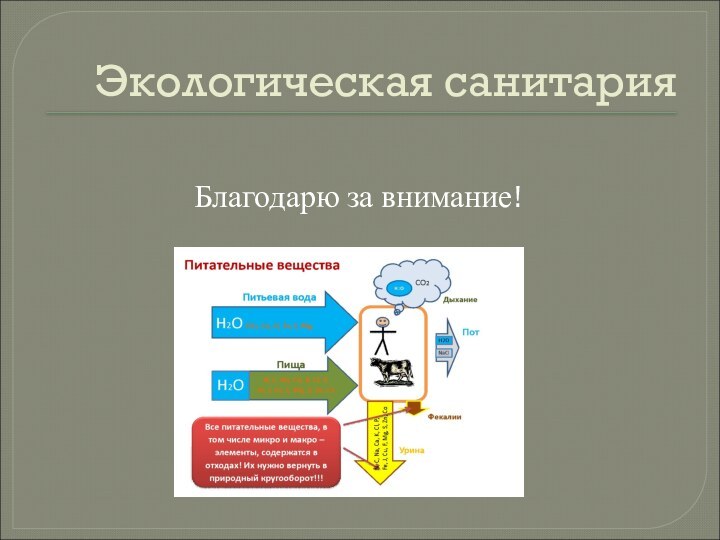 Экологическая санитарияБлагодарю за внимание!