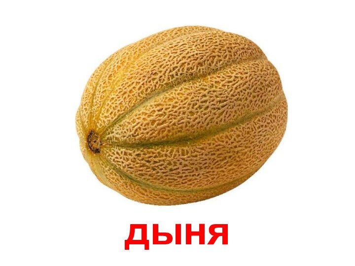 дыня