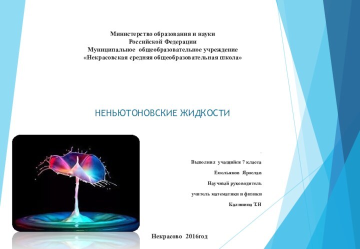 Министерство образования и науки Российской Федерации Муниципальное общеобразовательное учреждение «Некрасовская средняя общеобразовательная