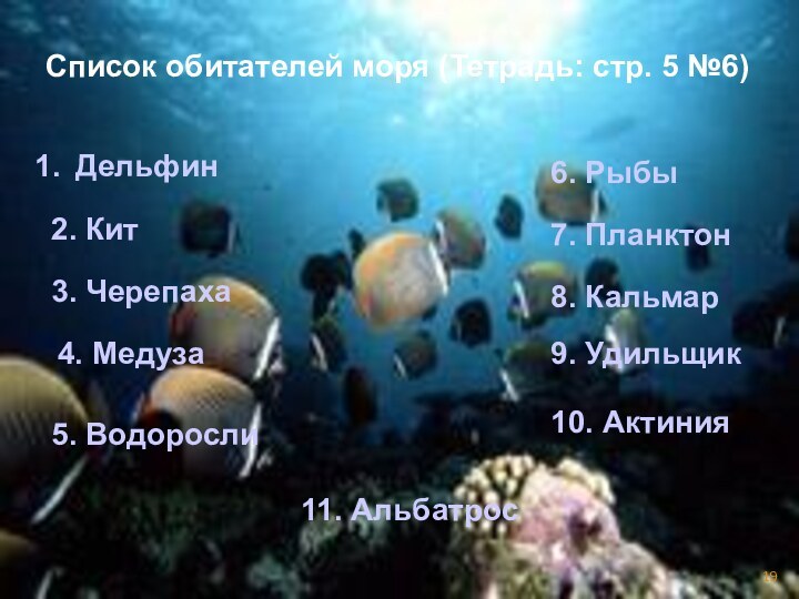 Список обитателей моря (Тетрадь: стр. 5 №6)Дельфин2. Кит 3. Черепаха4. Медуза5. Водоросли6.