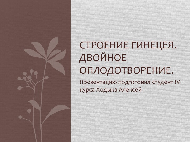 Презентацию подготовил студент IV курса Ходыка АлексейСтроение гинецея. Двойное оплодотворение.