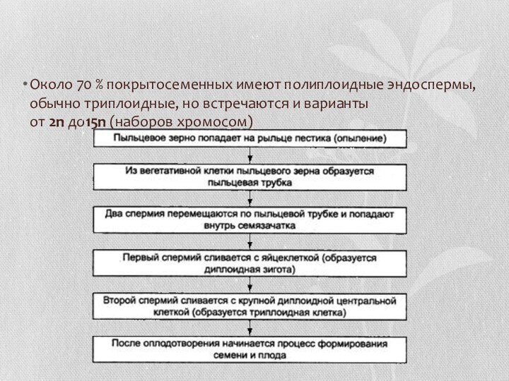 Около 70 % покрытосеменных имеют полиплоидные эндоспермы,обычно триплоидные, но встречаются и варианты от 2n до15n (наборов хромосом)