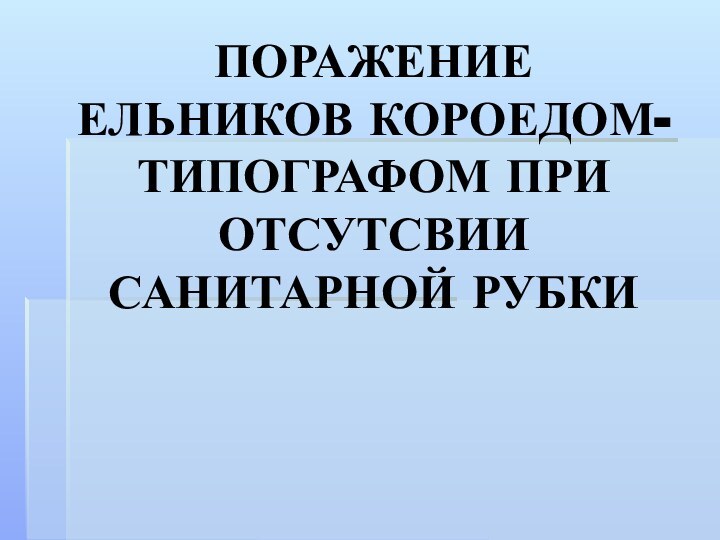 ПОРАЖЕНИЕ ЕЛЬНИКОВ КОРОЕДОМ-ТИПОГРАФОМ ПРИ ОТСУТСВИИ САНИТАРНОЙ РУБКИ