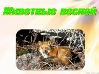 Животные весной