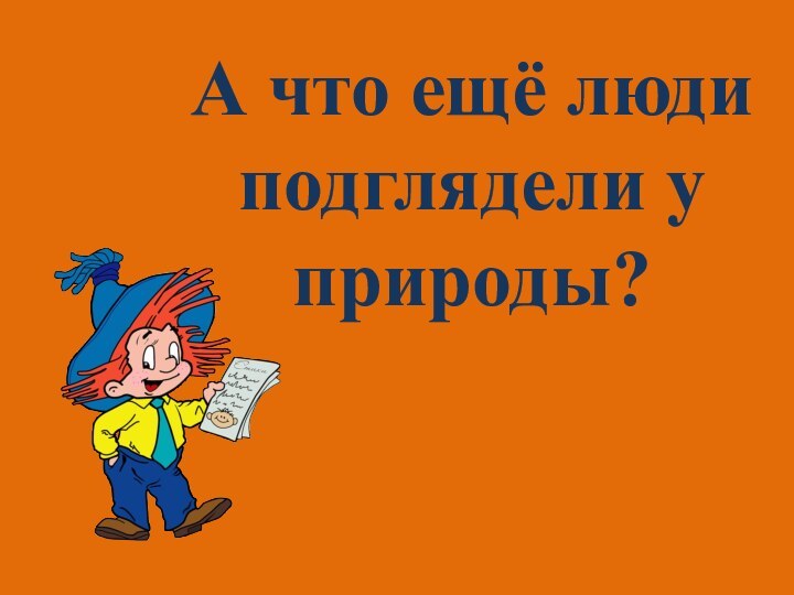 А что ещё люди подглядели у природы?