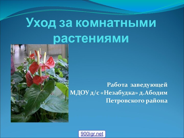 Уход за комнатными растениямиРабота заведующей МДОУ д/с «Незабудка» д.АбодимПетровского района