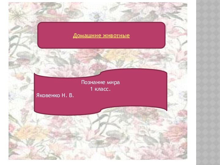 Домашние животныеПознание мира1 класс.Яковенко Н. В.