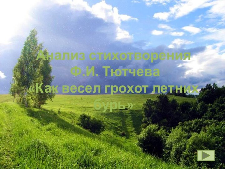 Анализ стихотворения Ф.И. Тютчева«Как весел грохот летних бурь»