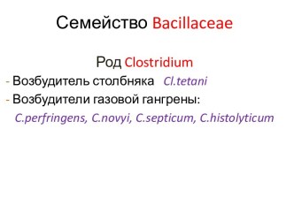 Семейство Bacillaceae