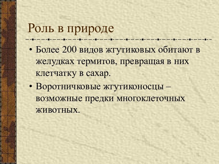 Роль в природеБолее 200 видов жгутиковых обитают в желудках термитов, превращая в