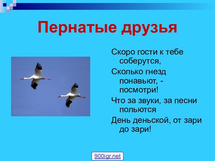 Пернатые друзьяСкоро гости к тебе соберутся,Сколько гнезд понавьют, - посмотри!Что за звуки,